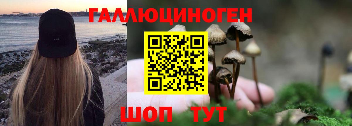 Галлюциногенные грибы GOLDEN TEACHER  цена наркотик  Галлюциногенные грибы прущие грибы  Нижний Тагил  Вход с VPN 